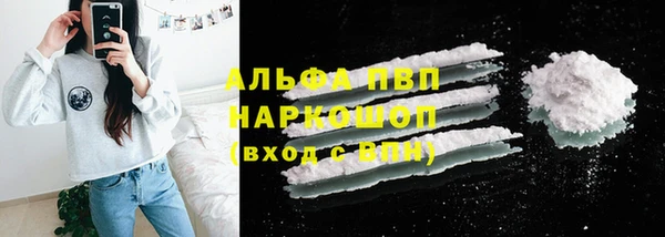 дмт Бородино