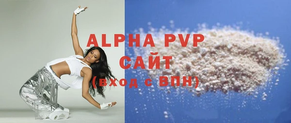 дмт Бородино
