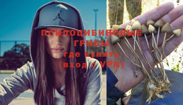 дмт Бородино