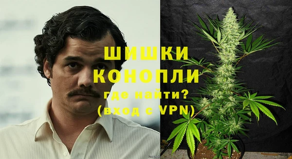 дмт Бородино