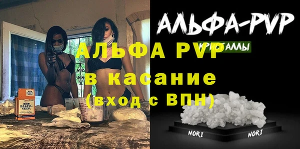 дмт Бородино