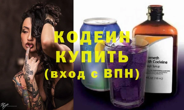 дмт Бородино