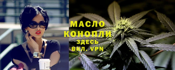 дмт Бородино